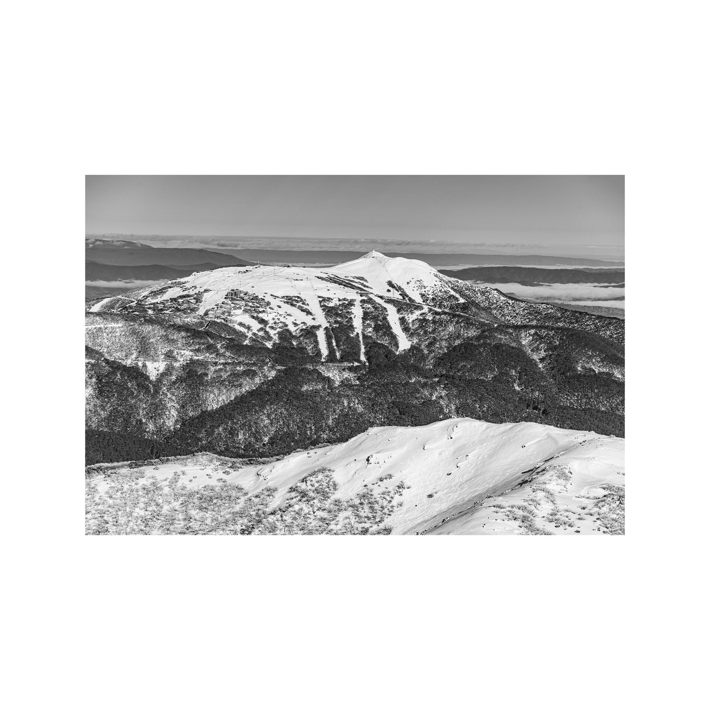 Sterling and Buller B&W