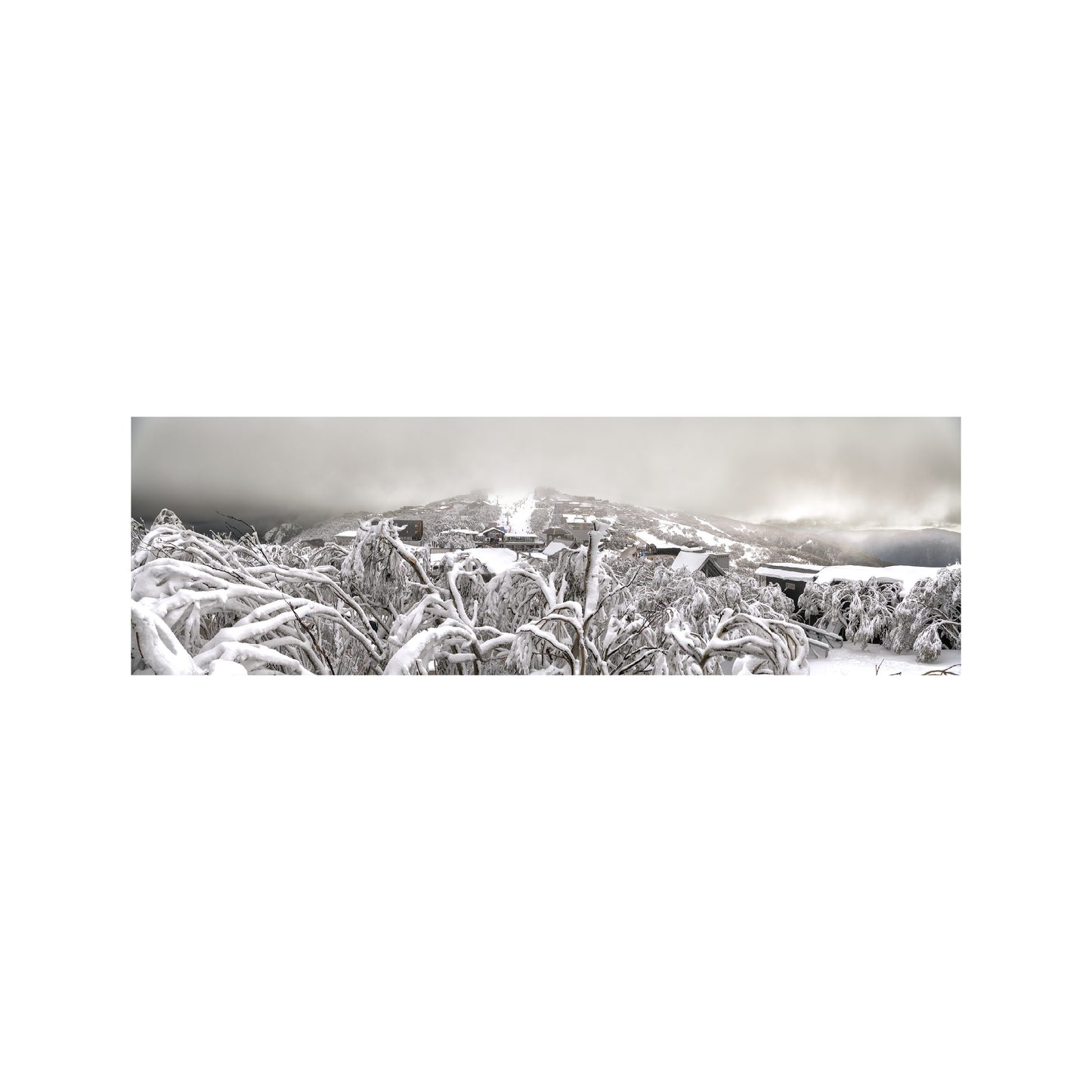Snow Blanket