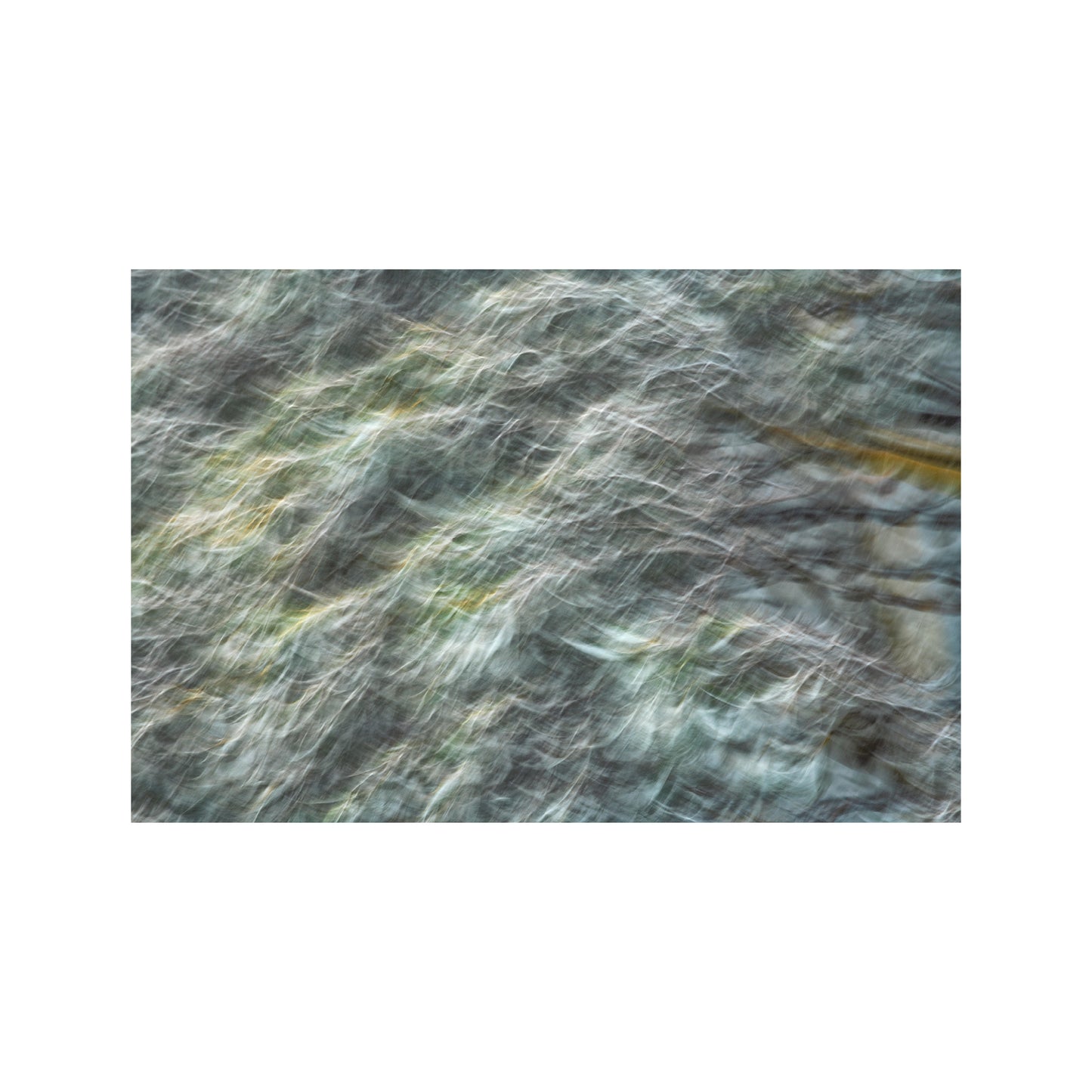 Tangy Lime Snow Gum