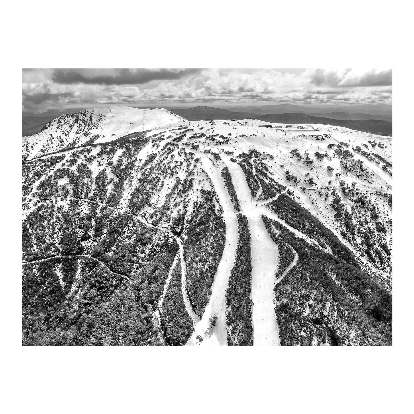 Mind Ski the Wombat B&W