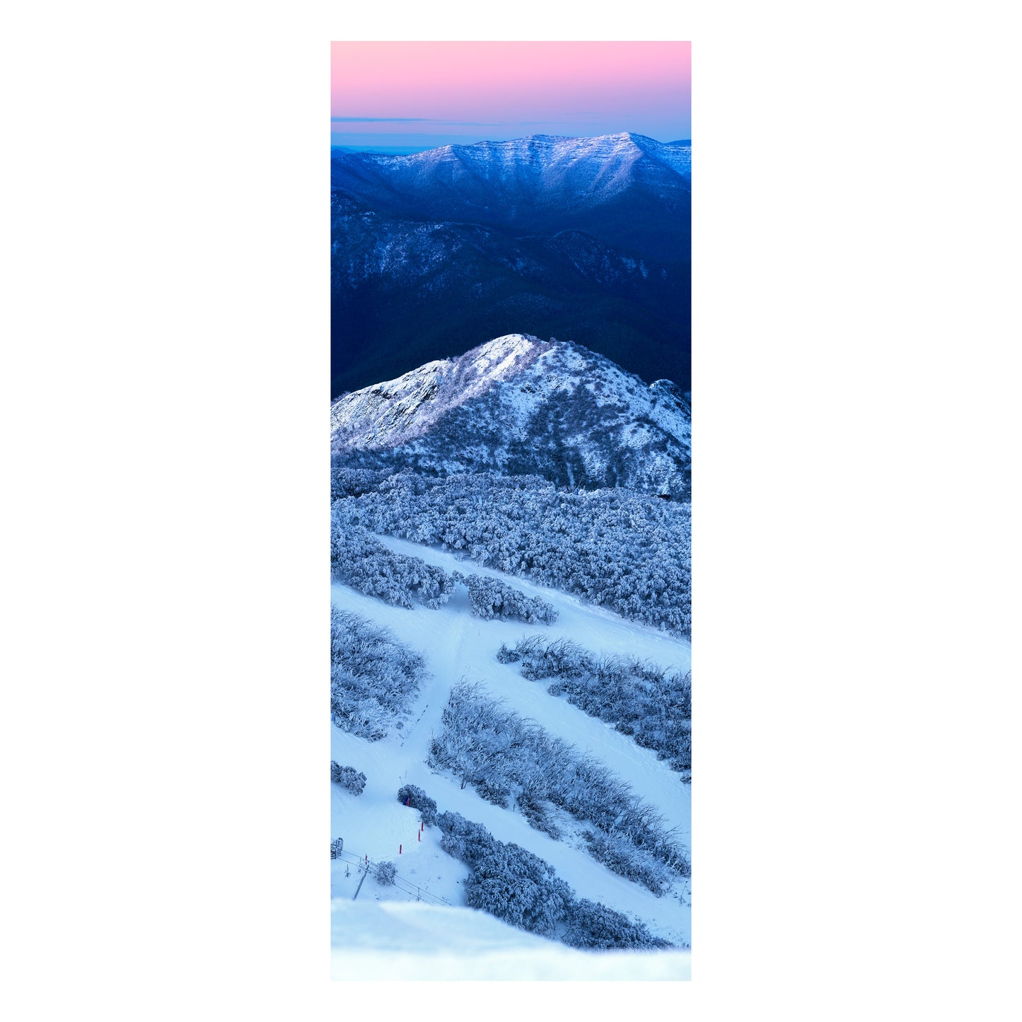Tall Little Buller