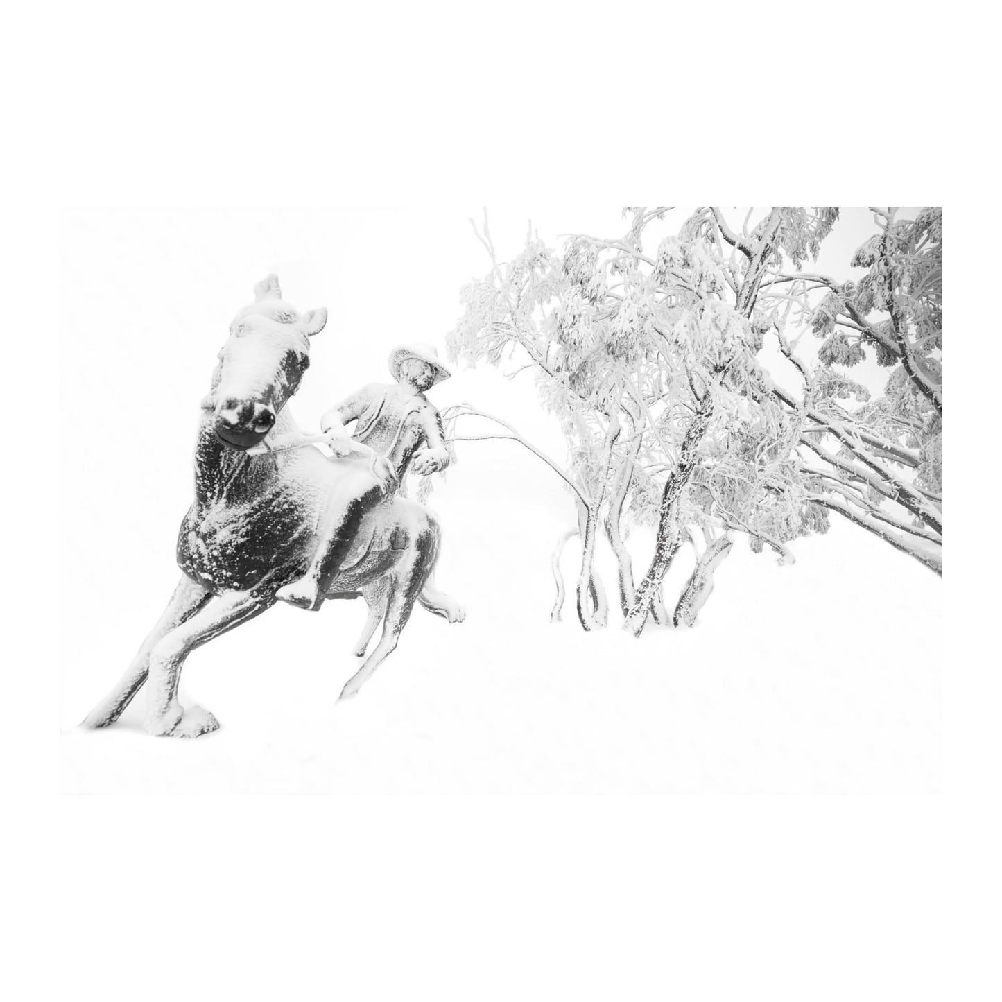 Mountain Spirit