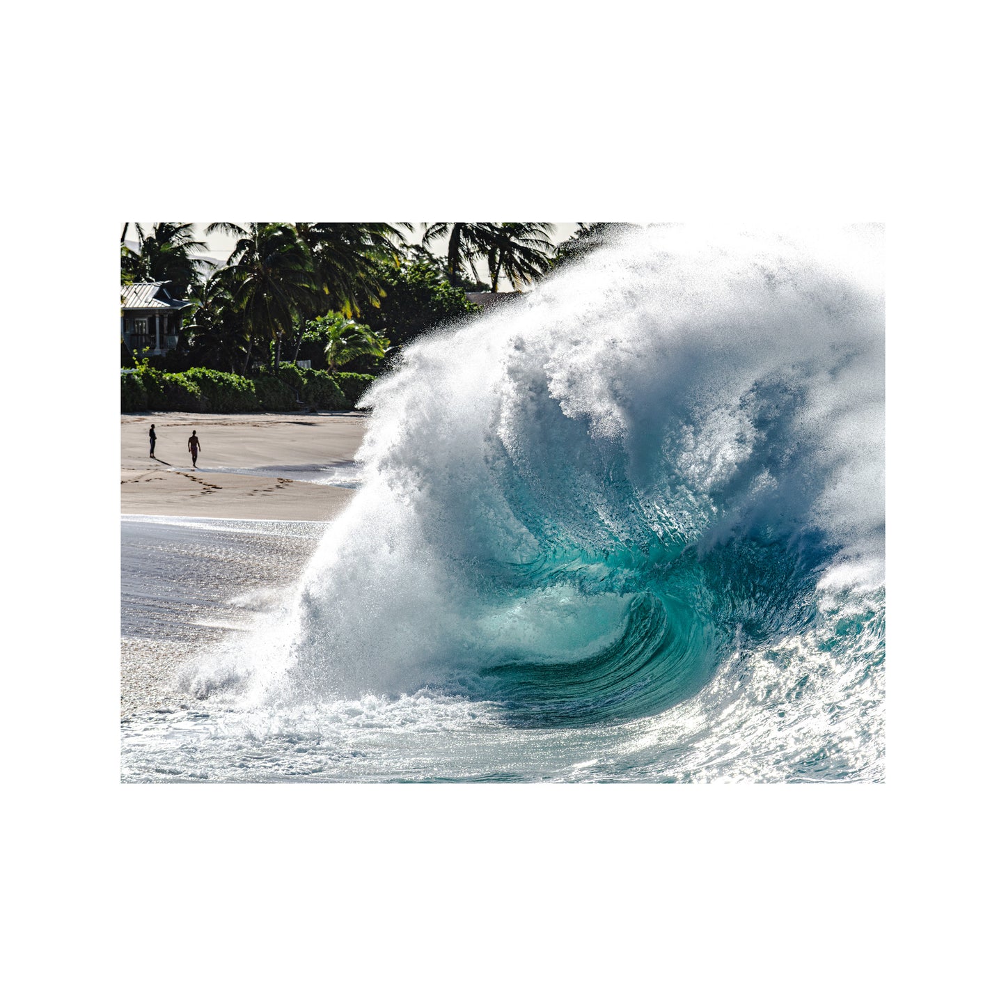 The Makaha Shorebreak